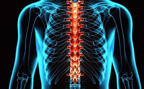 T9 - T12 Vertebrae Thoracic Spinal Cord Injury | SpinalCord.com